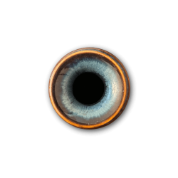 Carl-Harry St�lhane vase