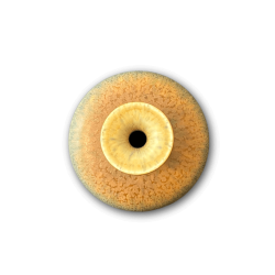 Kjell Bolinder vase 