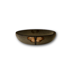Beate Andersen sk�l
